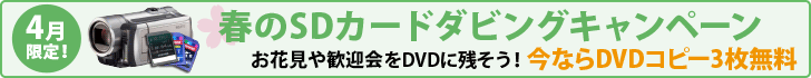 春のSDカードダビングキャンペーン