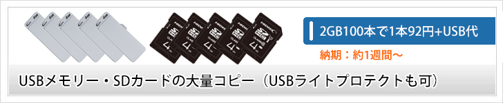 USBメモリーとSDカード
