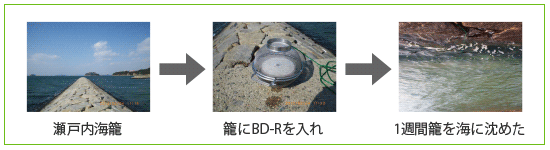 自然災害模擬試験耐水試験の工程